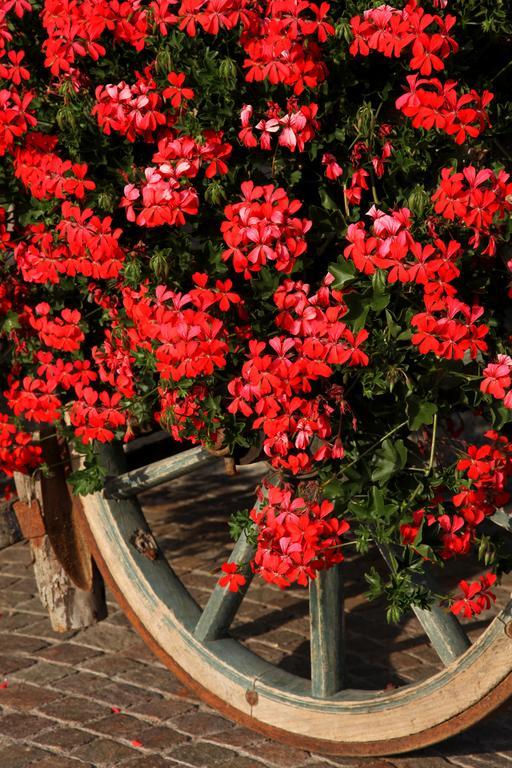 Agritur Fior Di Bosco Hotel Valfloriana ภายนอก รูปภาพ